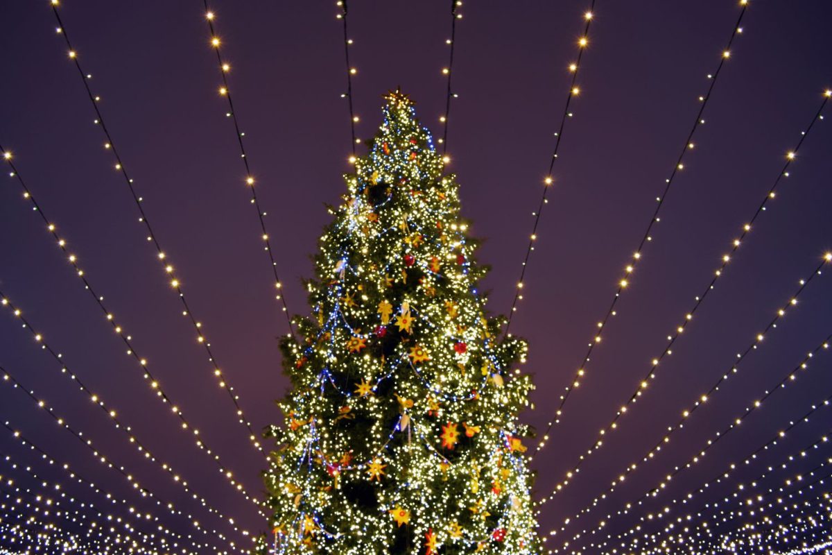 A season to celebrate